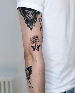 Unique blackwork and micro-realism blend by Gabriele Edu, featuring a traditional rose motif on the arm.