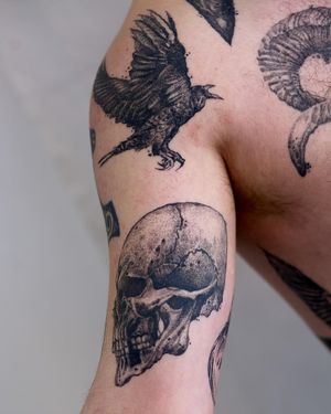 Intricate blackwork design of a raven perched on a skull, expertly done by artist Jamie B on the upper arm.