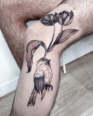 Illustrative design by Anna, featuring a beautiful bird and flower motif on the knee.