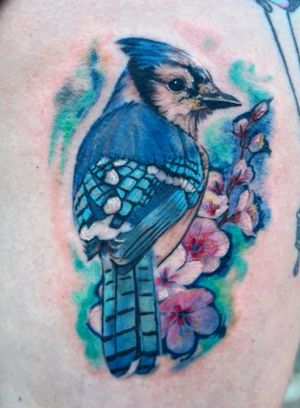 Blue Jay with cherry blossoms, painterly color realism