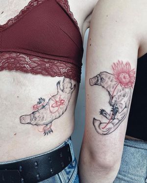 Unique blackwork illustrative piece by Anna, combining a delicate flower and quirky platypus design on the ribs.