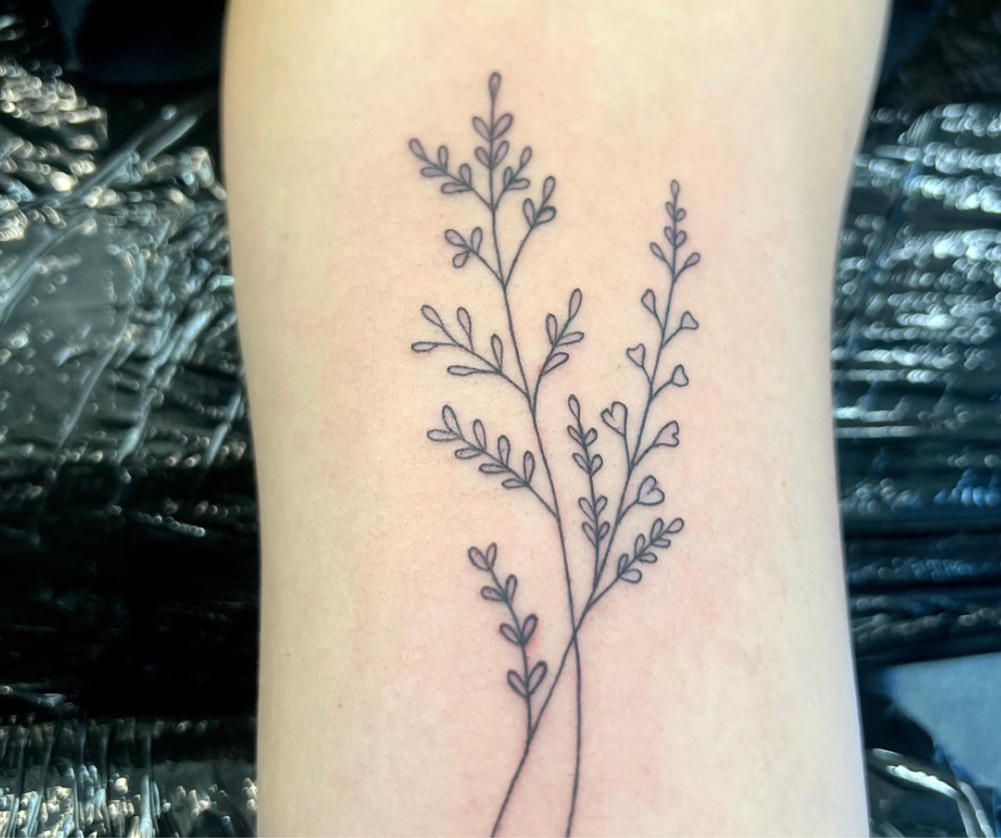 Heather calluna vulgaris branch with leaves vector image on VectorStock  Heather  flower Scottish tattoos Small flower tattoos