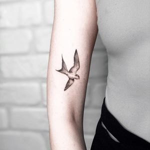Express your freedom with a stunning illustrative bird tattoo on your upper arm by the talented artist Alisa Hotlib.