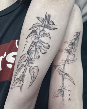 Elegant blackwork tattoo on forearm by Anna featuring a beautiful flower and inspiring quote in illustrative lettering.