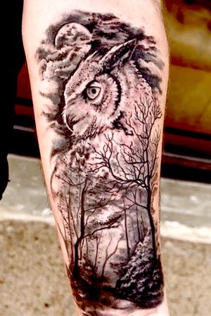 Forest owl, black and grey realism 