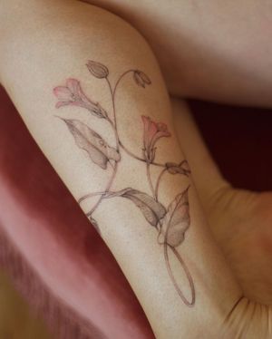 Adorn your lower leg with a stunning blackwork flower tattoo by the talented artist Alisa. Embrace the beauty of nature in this intricate design.