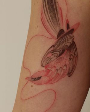 Get a stunning blackwork bird tattoo on your arm, created by the talented artist Alisa. This illustrative design is sure to make a statement.