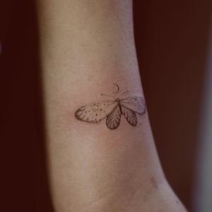 Elegant and detailed tattoo by artist Alisa, featuring a stunning design of a butterfly and moth in a fine line illustrative style on the upper arm.