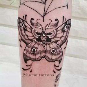 Decorative moth ✨ FOLLOW MY INSTA 👉 @hama.tattoos Painted People Tattoos Co. Burlington ON Canada