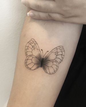 Delicate butterfly 