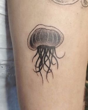 Little Jellyfish 