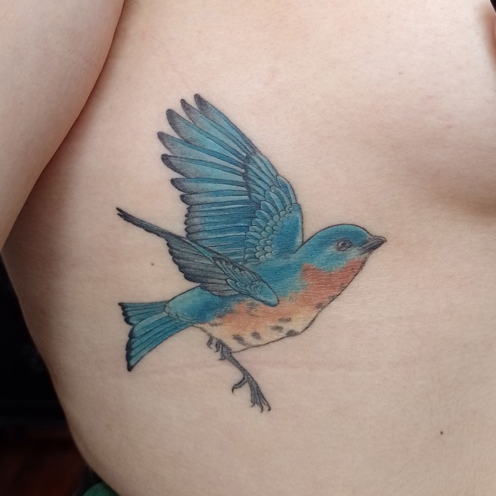 bluebird' in Tattoos • Search in +1.3M Tattoos Now • Tattoodo