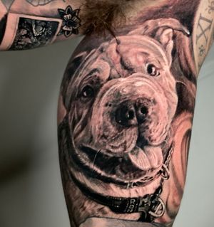 Our client one a tattoo to remember his dog when he is not at home. He is his little baby rescue boy.
