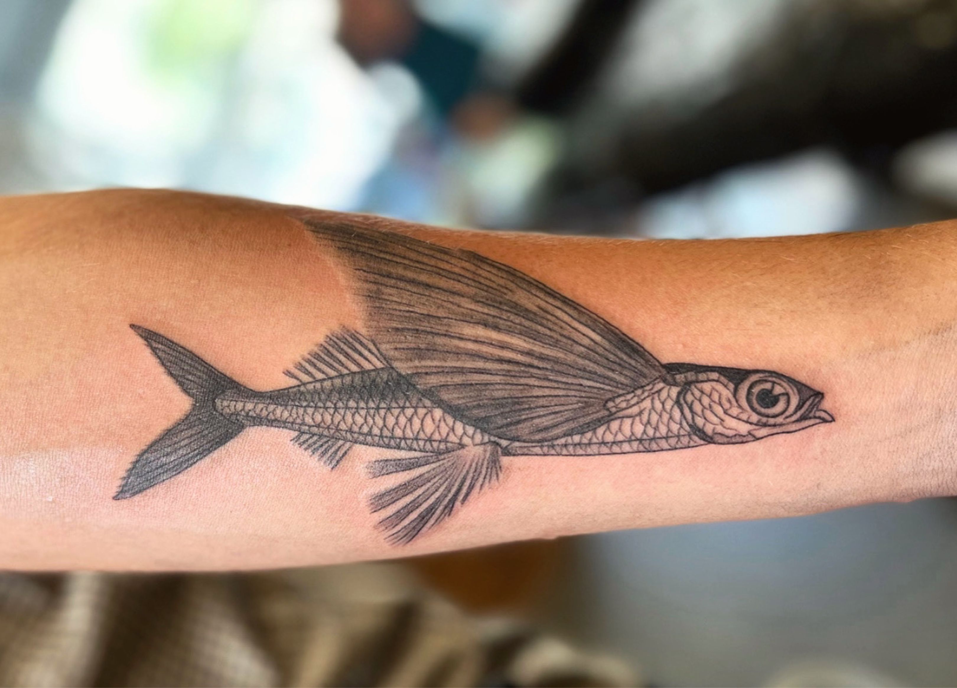 Flying Fish tattoo by Mr K Tattoo  Post 17724  K tattoo Circle tattoos  Tattoo designs