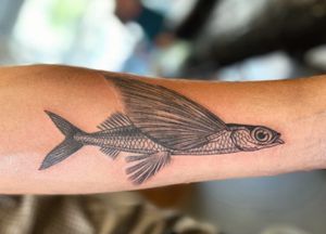 Fine Tattoo #finetattoo #fineline #blackandgrey #flyingfish #amsterdamtattoo #claudiafedorovici 