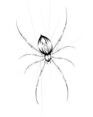 Spider Tattoo designed by @vincefineart