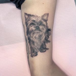 A stunning blackwork tattoo of a dog, skillfully created by Kasia, beautifully displayed on the upper arm. A timeless piece of art.
