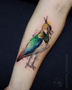Get a stunning illustrative bird tattoo in watercolor style on your forearm by the talented artist Slava!