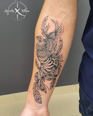 Illustrative blackwork tattoo of a feather transforming into a phoenix, skillfully inked by artist Dorota.