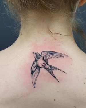 Blackwork and illustrative style tattoo of a stunning bird by Dorota, showcasing exquisite detail and artistry on the upper back.
