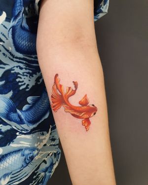 A stunning illustrative fish tattoo on the forearm by talented artist Dorota. This unique design is sure to make a bold statement.