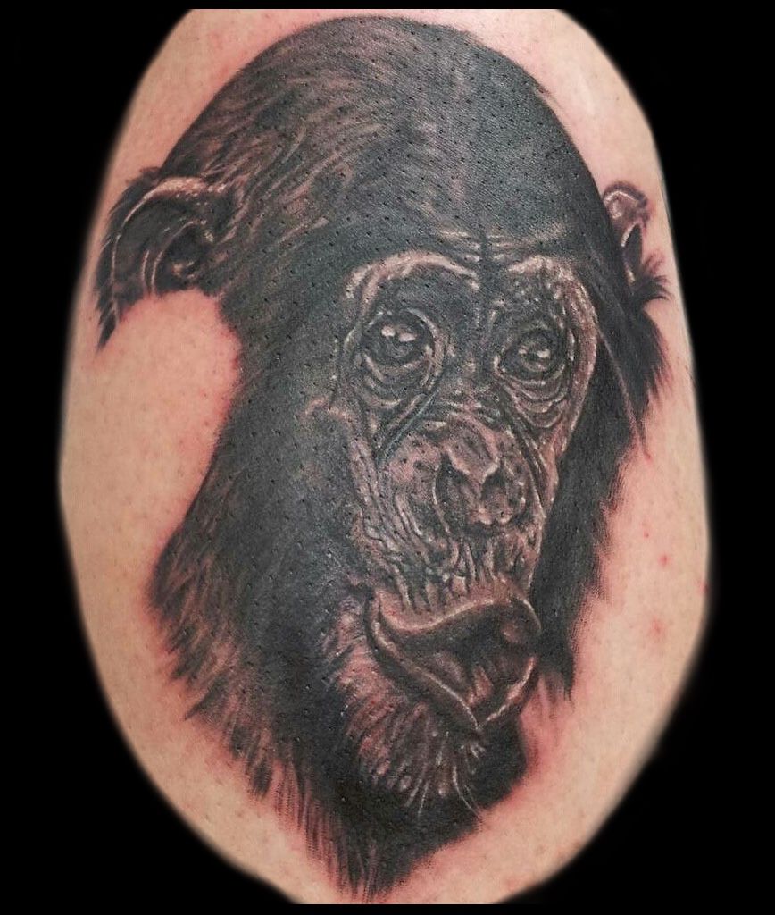 Tattoo uploaded by Black Cat Ink • Architect Chimp tattoo by gart_tattoo  #blackcatink #amazingtattoos #chimpanzee #chimp #stonehenge  #architecturelovers #stoneage #worldfamous #sorrymom #sorrymomambassador  #lafincagolf • Tattoodo