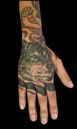 Realistic wolf black and grey