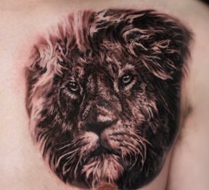 Black and grey tattooLion Chest TattooHi Guys! I’m Iseul from South Korea.You can see the full picture on my instagram. My instagram account is @tattoosbyiseul.Thanks for reading 😉