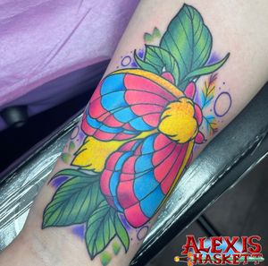 Pan rosy maple moth coverup