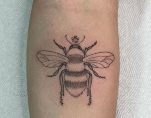 Bee on forearm