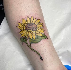 Illustrative sunflower tattoo on lower leg by Rachel Angharad. Beautiful and vibrant design.