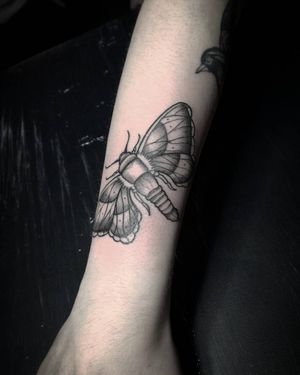 Explore the intricate beauty of Shasza's blackwork illustrative design featuring a stunning butterfly and moth motif on the forearm.