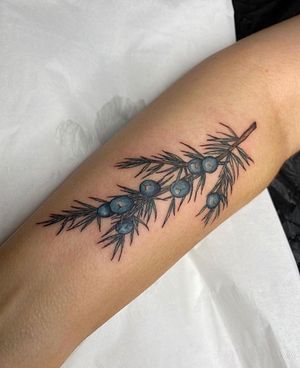 Beautiful floral tattoo featuring a juniper flower design, expertly done by Rachel Angharad on the forearm.