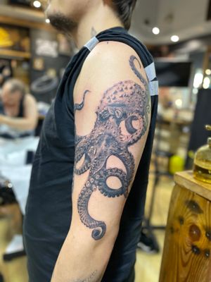 Black and grey Pacific Octopus