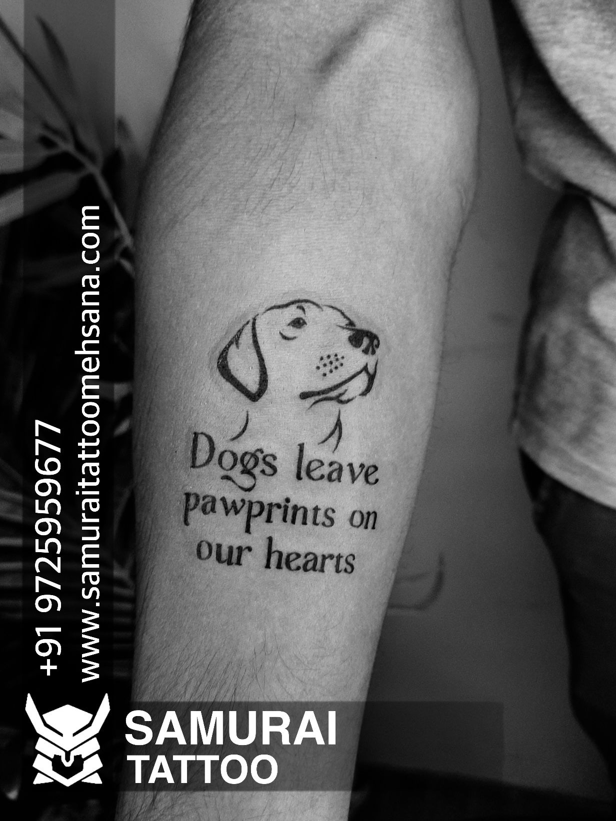 Immortal Tattoos  This amazing soul is a dog rescuer  wanted to get this quote  tattooed with dog paws  Designed  tattooed by manavdamir  immortaltattoos india chandigarh customtattooing customtattoo  tattoosinpunjab 