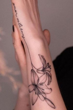 Quero muito fechar o braço direito com flores de artistas mulheres. E achei esse lugar da tattoo tão lindo pra inspiração. 🥰
