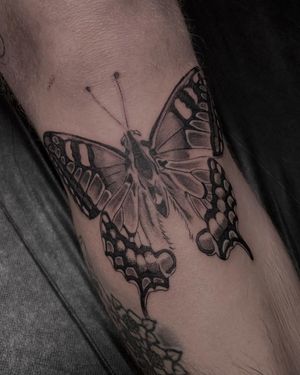 Get mesmerized by this blackwork illustrative tattoo featuring a stunning butterfly and moth design by Angel Chavez.