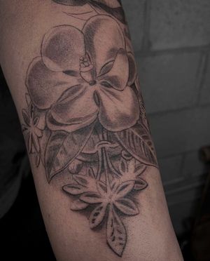 Illustrative blackwork design of a beautiful flower by Angel Chavez, ideal for the forearm.
