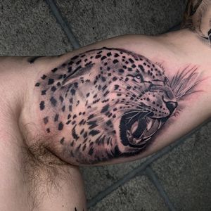 Bold blackwork design of a realistic leopard by Angel Chavez, blending illustrative elements for a fierce look on the upper arm. 