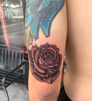 Black and Grey Rose