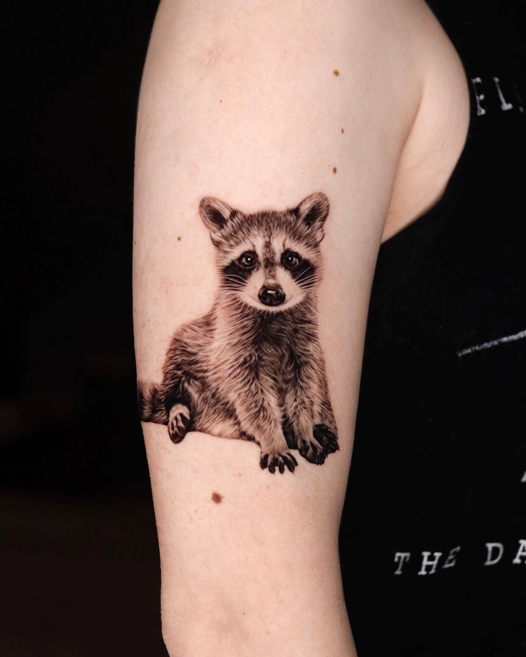 raccoon' in Tattoos • Search in + Tattoos Now • Tattoodo