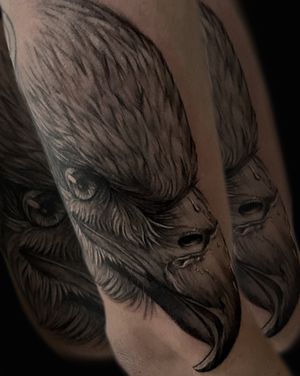Eagle head