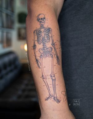 Anatomia de esqueleto #skulltattoo #esqueletoanatomia #anatomiatattoo #finelinetattoo #esqueletotattoo #medicinatattoo
