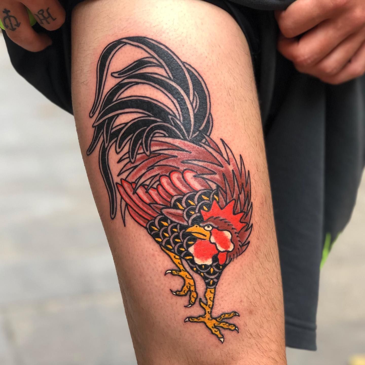 41 Phenomenal Rooster Tattoo Ideas