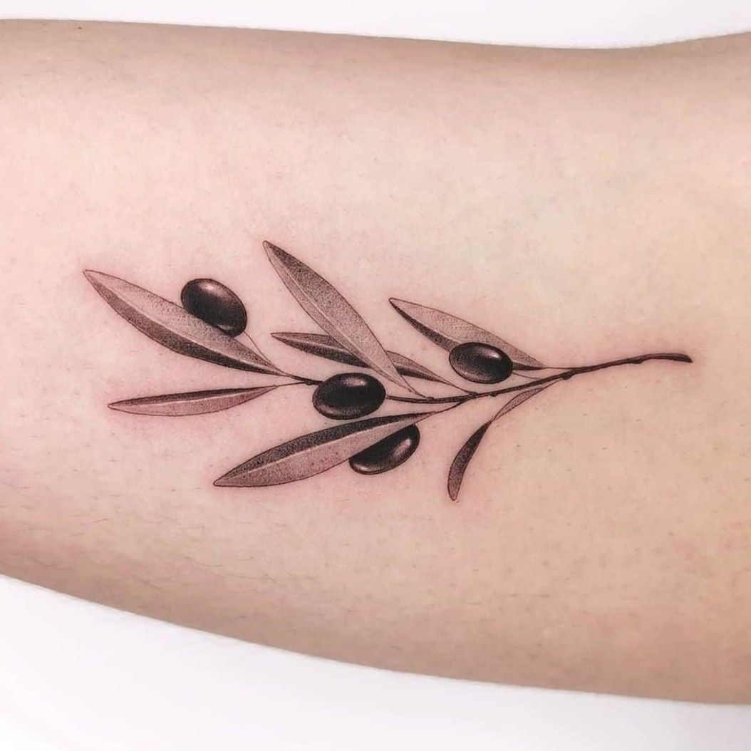 25 Meaningful Olive Branch Tattoo Ideas + Designs - Tattoo Glee