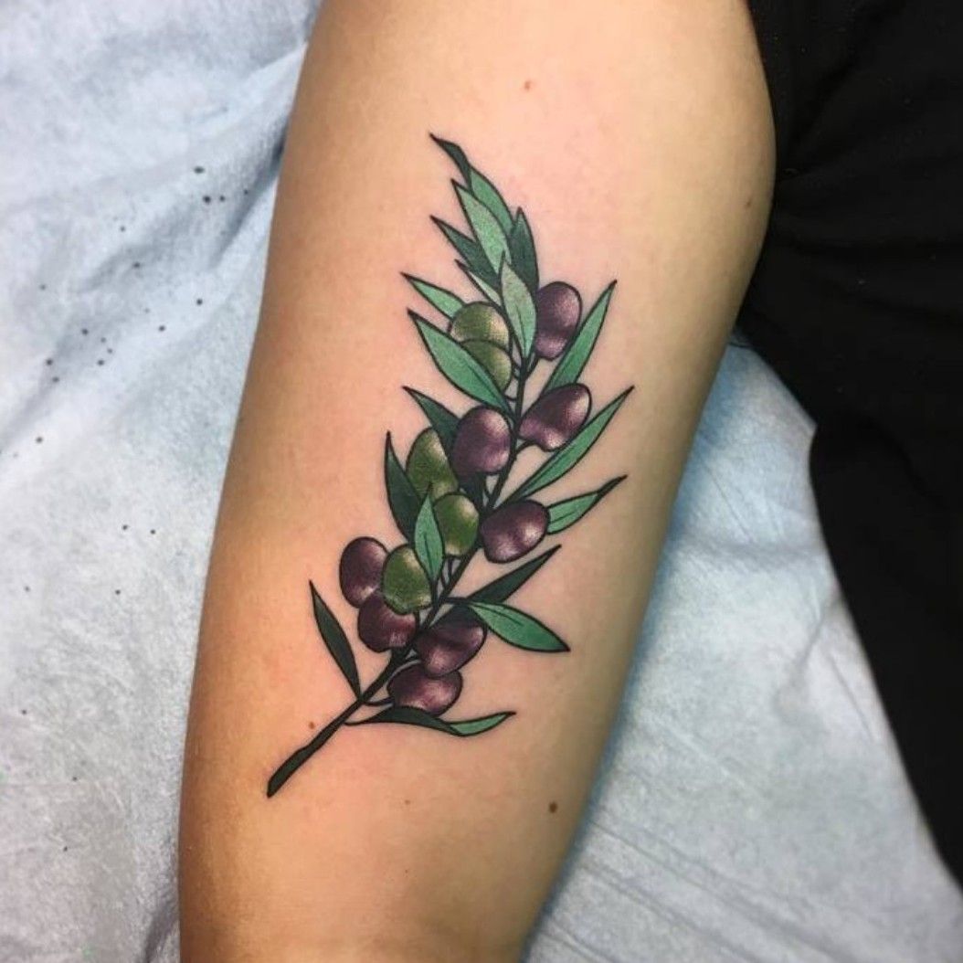 Olive Branch Tattoo  Etsy