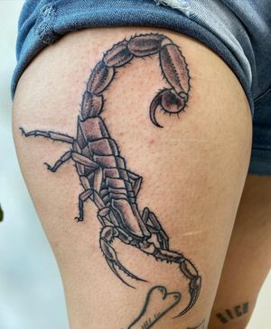 Get inked with a bold and detailed scorpion tattoo by Jason Fancher, perfect for those who love blackwork and illustrative designs.