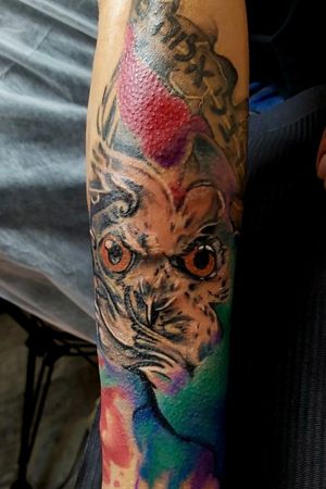 Owl & Colour Tattoo