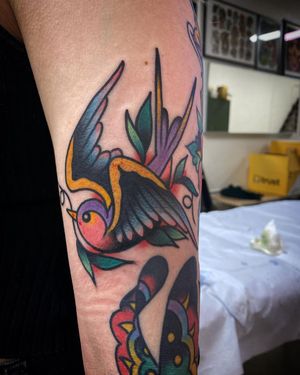 Illustrative bird tattoo on upper arm by renowned artist Philip LaRocca. Exquisite neo-traditional design.