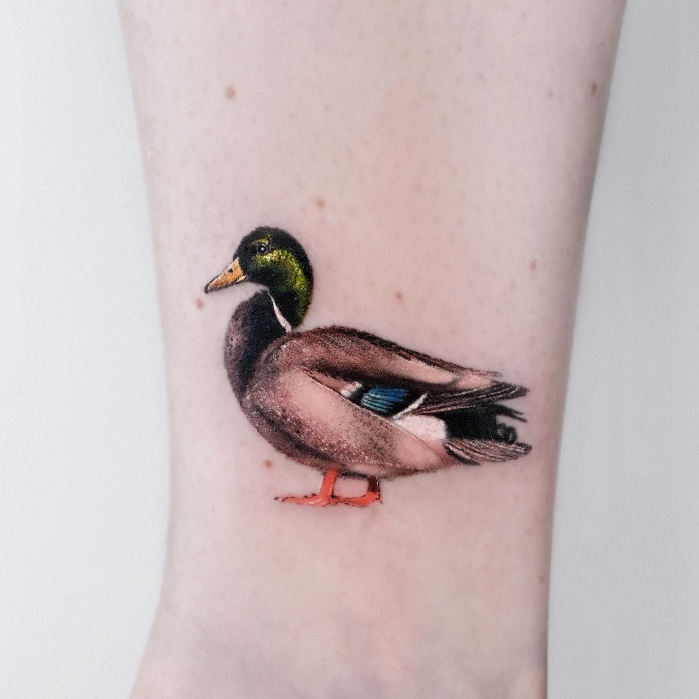 I got a duck tattoo today to represent my online username (thunder duck) :  r/duck